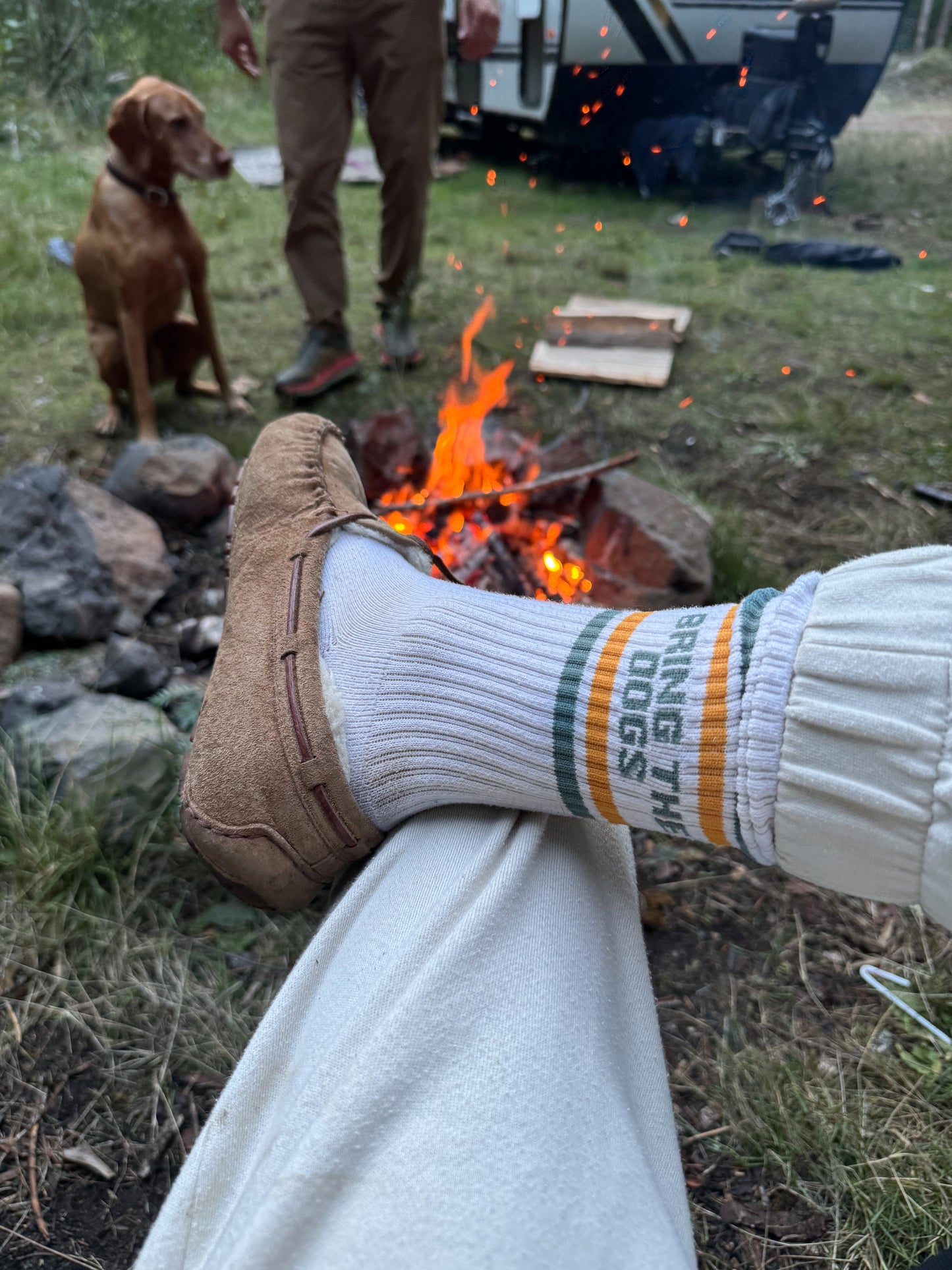 Hiking Socks