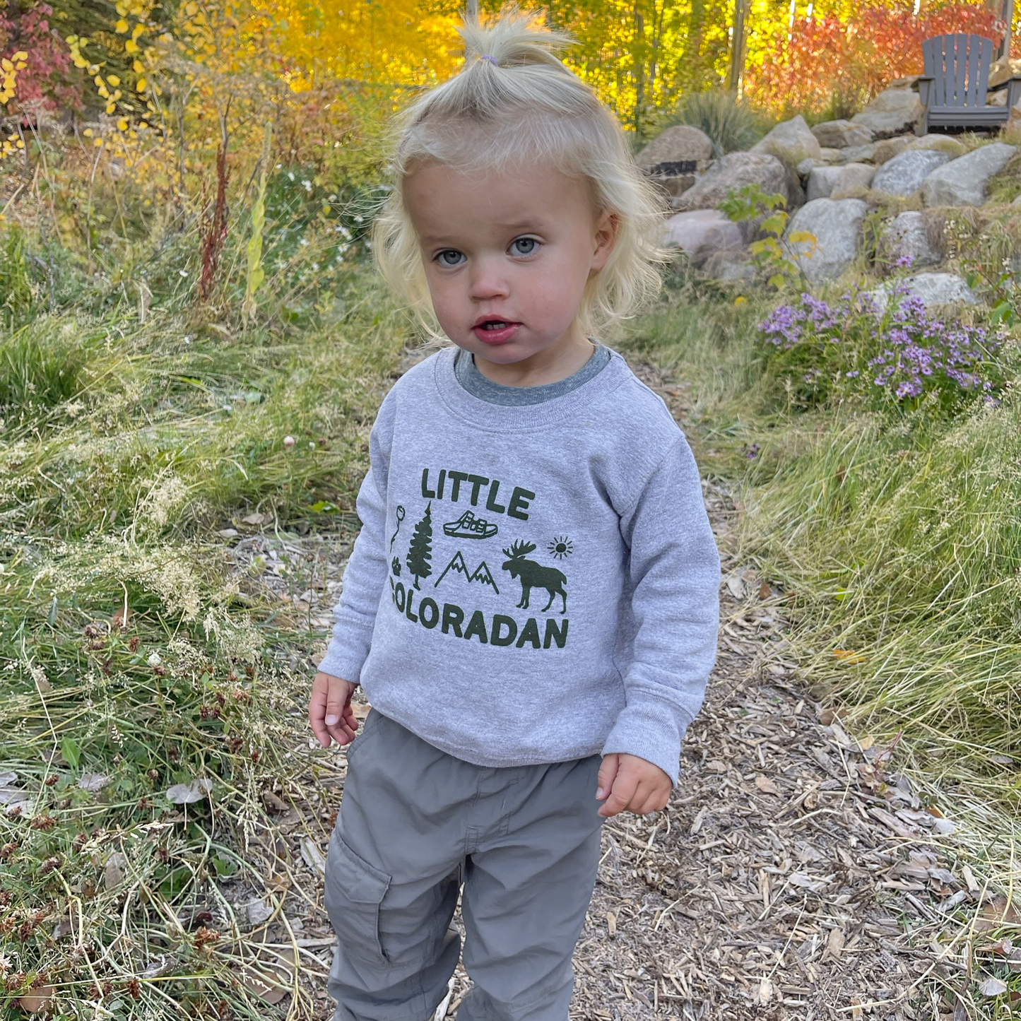 Little Coloradan toddler sweatshirt